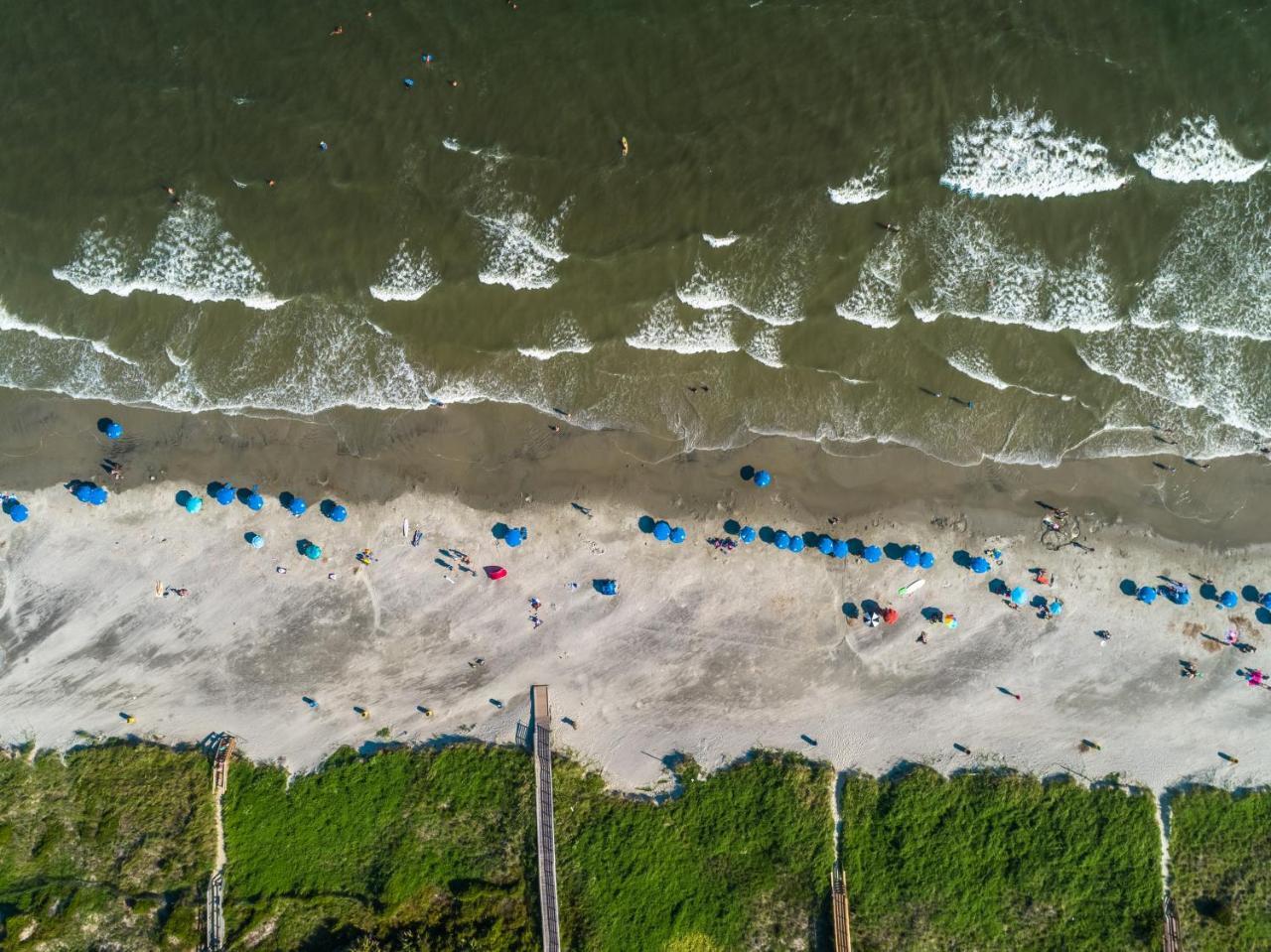 The Palms Oceanfront Hotel Isle of Palms Zewnętrze zdjęcie